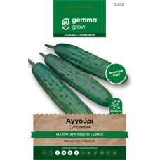 Αγγούρι Cucumis sativus Vert Long Maraicher 1g Σπόροι