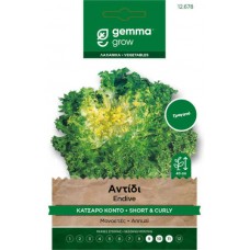 Αντίδι Κατσαρό Κοντό 10g Σπόροι 'Riccia Cuor d' Oro'