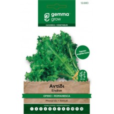 Αντίδι Κατσαρό Όρθιο Σκούρο 10g Σπόροι Romanesca Taglio