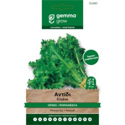 Αντίδι Κατσαρό Όρθιο Σκούρο 10g Σπόροι Romanesca Taglio