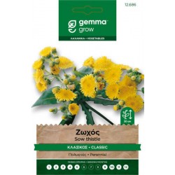 Ζωχός ή Ζοχός Κλασικός 0,3g Σπόροι (Sonchus oleraceus)