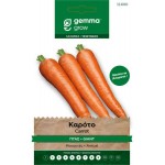 Καρότο Γίγας 2g Σπόροι Φακελάκι (Daucus carota 'Flakkee 2') - Σπόρος Καρότων σε Φάκελα Καρότο Γίγας 2g Σπόροι Φακελάκι Daucus carota Flakkee 2