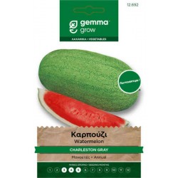 Charleston Gray Watermelon Seeds 1,6g Packet