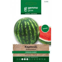 Watermelon Citrullus lanatus 'Crimson Sweet' Seeds 1.5g