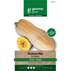 Κολοκύθα Butternut Γλυκιά Κίτρινη 1,2g Σπόροι Φακελάκι