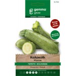 Κολοκύθι Γεμιστό Bolognese 3g Σπόροι Φακελάκι (Cucurbita pepo 'Bolognese') - Σπόρος Κολοκυθιάς σε Φάκελα Κολοκύθι Γεμιστό Bolognese 3g Σπόροι Φακελάκι