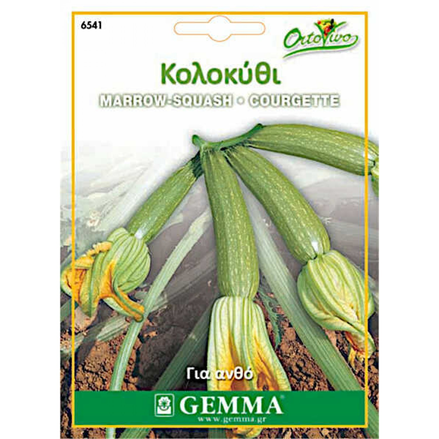 Perla Marrow Squash Seeds 5g Packet (Cucurbita pepo 'Perla')