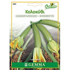 Κολοκυθάκι για Ανθό 2g Σπόροι Φακελάκι (Cucurbita pepo 'Perla')