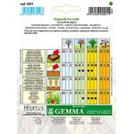 Perla Marrow Squash Seeds 5g Packet (Cucurbita pepo 'Perla')