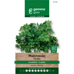 Μαϊντανός Κλασικός 10g Σπόροι Φακελάκι Comune 2