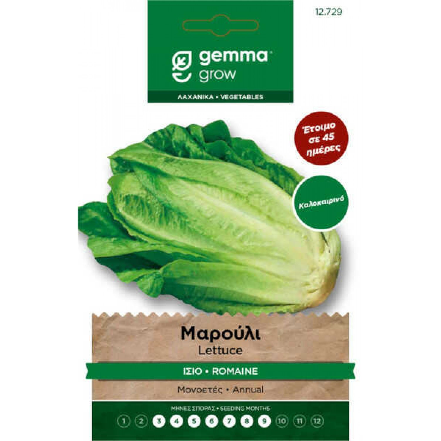 Summer Lettuce Romana Seeds (Lactuca sativa) | kipogeorgiki.live
