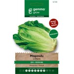 Summer Lettuce Romana Seeds (Lactuca sativa) | kipogeorgiki.live