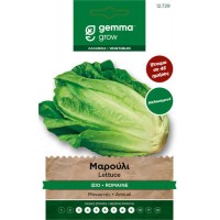 Μαρούλι Ίσιο Καλοκαιρινό Romaine Biooda Degli Ortolani 1g Σπόροι Φακελάκι (Lactuca sativa 'Biooda Degli Ortolani')