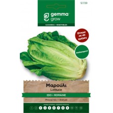 Μαρούλι Καλοκαιρινό Biooda Degli Ortolani 1g Σπόροι