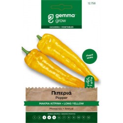 Yellow Bull Horn Sweet Pepper Seeds 2.5g Packet (Capsicum anuum 'Yellow Bulls' Horn')--Seeds-Gemma