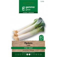 European Leek Seeds 4.5g (Allium porrum 'D' Hiver 2')