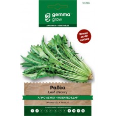 Ραδίκι Άγριο Λευκό 10g Σπόροι-Catalogna Frastagliata