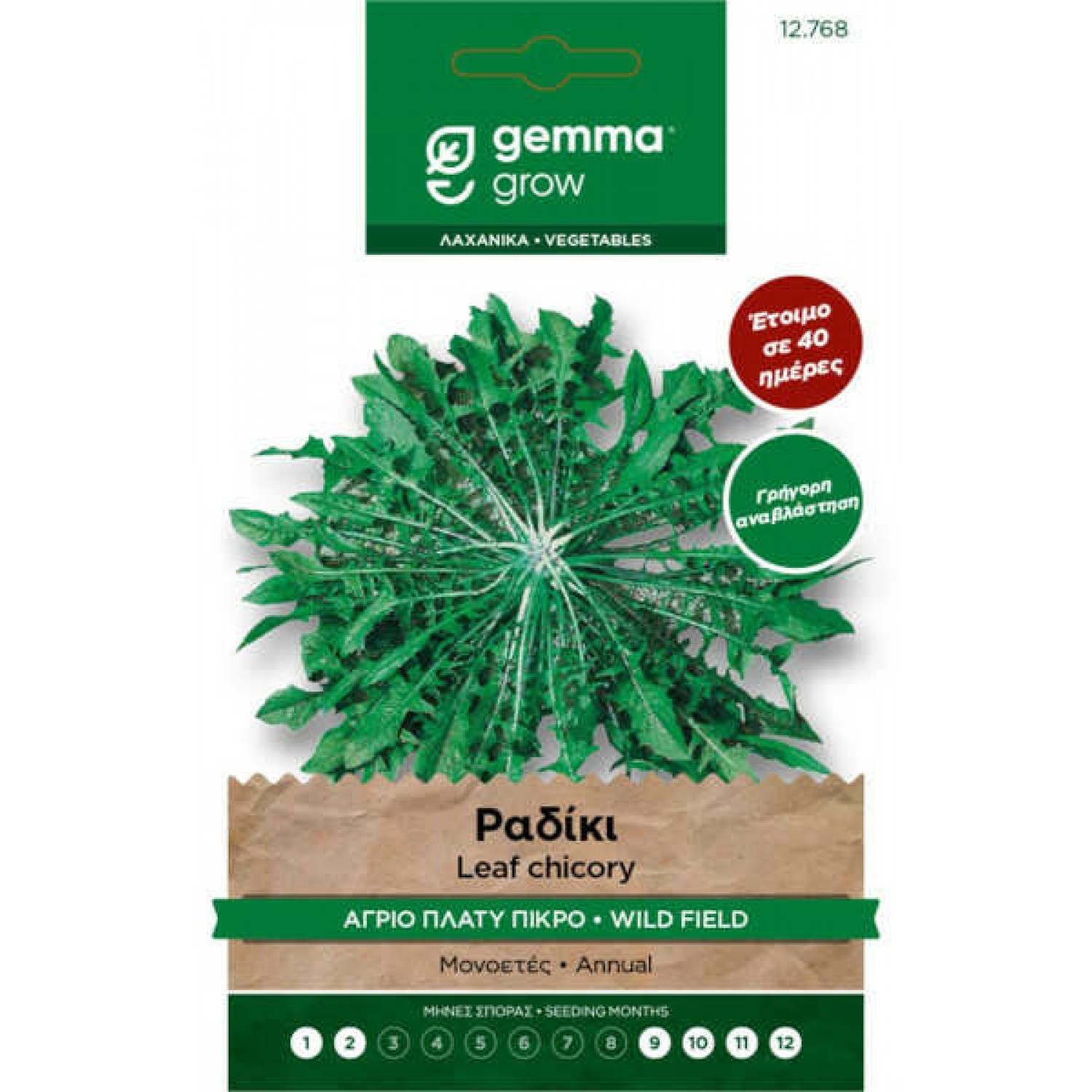 Selvatica Wild Chicory Seeds 10g Packet