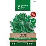 Selvatica Wild Chicory Seeds 10g Packet