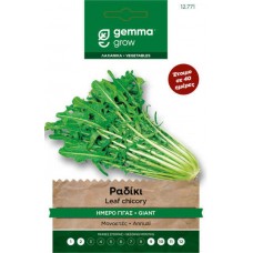 Ραδίκι Ήμερο Γίγας 10g Σπόροι-Catalogna Gigante di Chioggia
