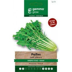 Ραδίκι Ήμερο Γίγας 10g Σπόροι-Catalogna Gigante di Chioggia
