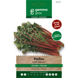 Italico Costa Rossa Chicory Seeds 10g Packet