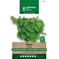Ρόκα Πλατύφυλλη Ήμερη 10g Σπόροι Φακελάκι (Eruca sativa)