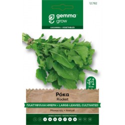 Rocket Seeds 10g Packet (Eruca sativa)
