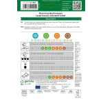 Ρόκα Πλατύφυλλη Ήμερη 10g Σπόροι Φακελάκι-Eruca sativa