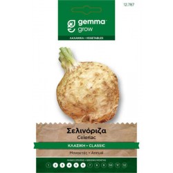 Σελινόριζα Κλασική 4g Σπόροι-Apium graveolens Di Verona