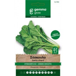 Liscia Verde Taglio Chard Seeds 10g Packet