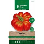 Saint Pierre Tomato Seeds 1.5 Packet (Solanum lycopersicum 'S. Pierre') - Tomatoes Seed in Packets Saint Pierre Tomato Seeds 1.5 (Solanum lycopersicum)