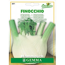 Φινόκιο Γίγας 7g Σπόροι (Foeniculum vulgare 'Mammouth')