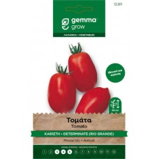 Rio Grande Seeds Tomato 1.5 Packet Solanum lycopersicum