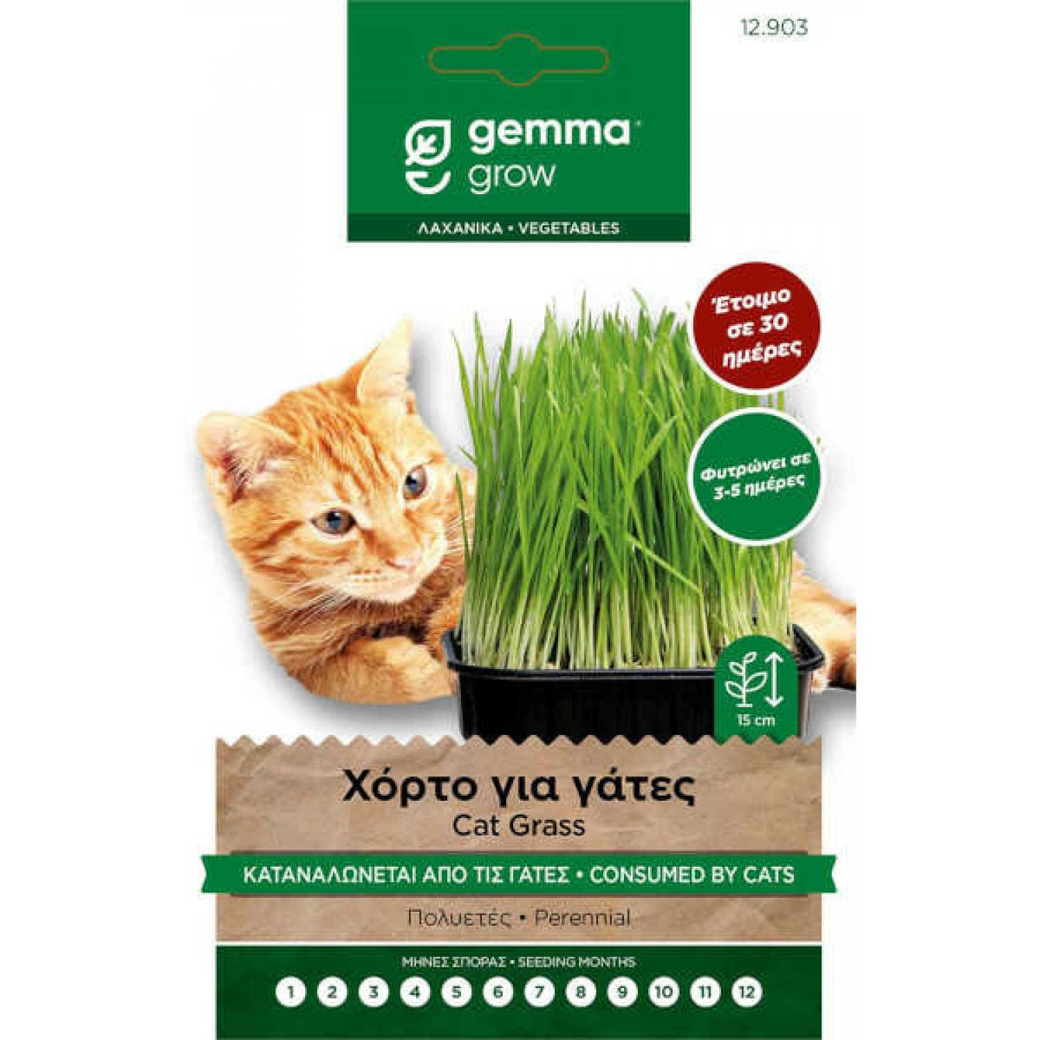 Cat Grass Seeds 10g Packet (Mix of Barley, Oats, Rye) - Special Mix Seeds for Domestic Pets Cat Grass Seeds 10g Packet (Mix of Barley, Oats, Rye)