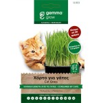 Cat Grass Seeds 10g Packet (Mix of Barley, Oats, Rye) - Special Mix Seeds for Domestic Pets Cat Grass Seeds 10g Packet (Mix of Barley, Oats, Rye)