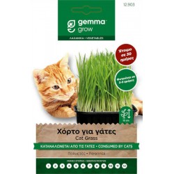 Cat Grass Seeds 10g Packet (Mix of Barley, Oats, Rye)
