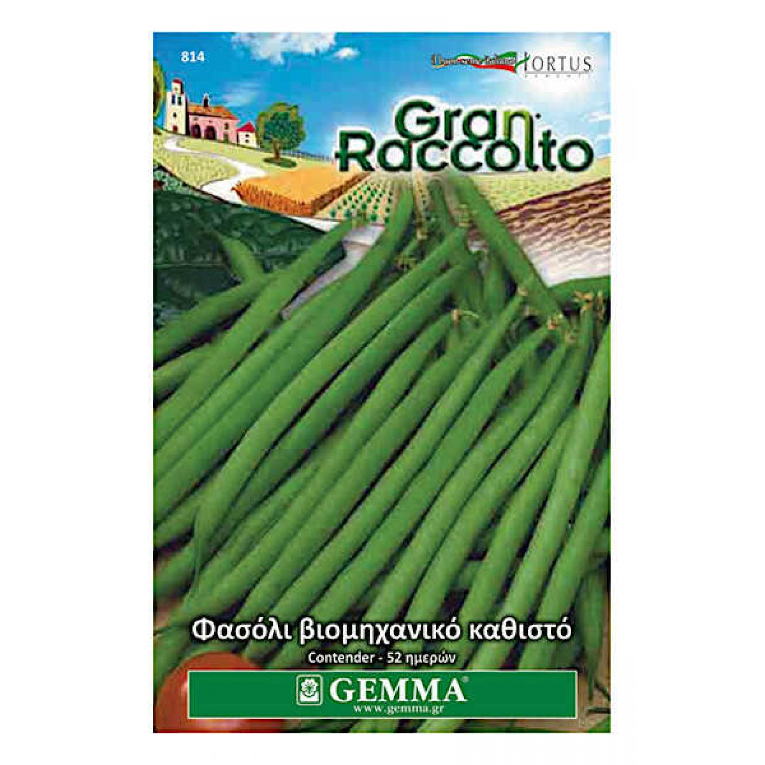 Contender Bush Bean Seeds 40g Packet (Phaseolus vulgaris Contender)