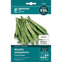 Φασόλι Μπαρμπούνι Καθιστό Μαύρο Σπόροι 5kg (Phaseolus vulgaris 'Starozagorski') - Σπόρος για Κοντομπάρμπουνα Φασόλια