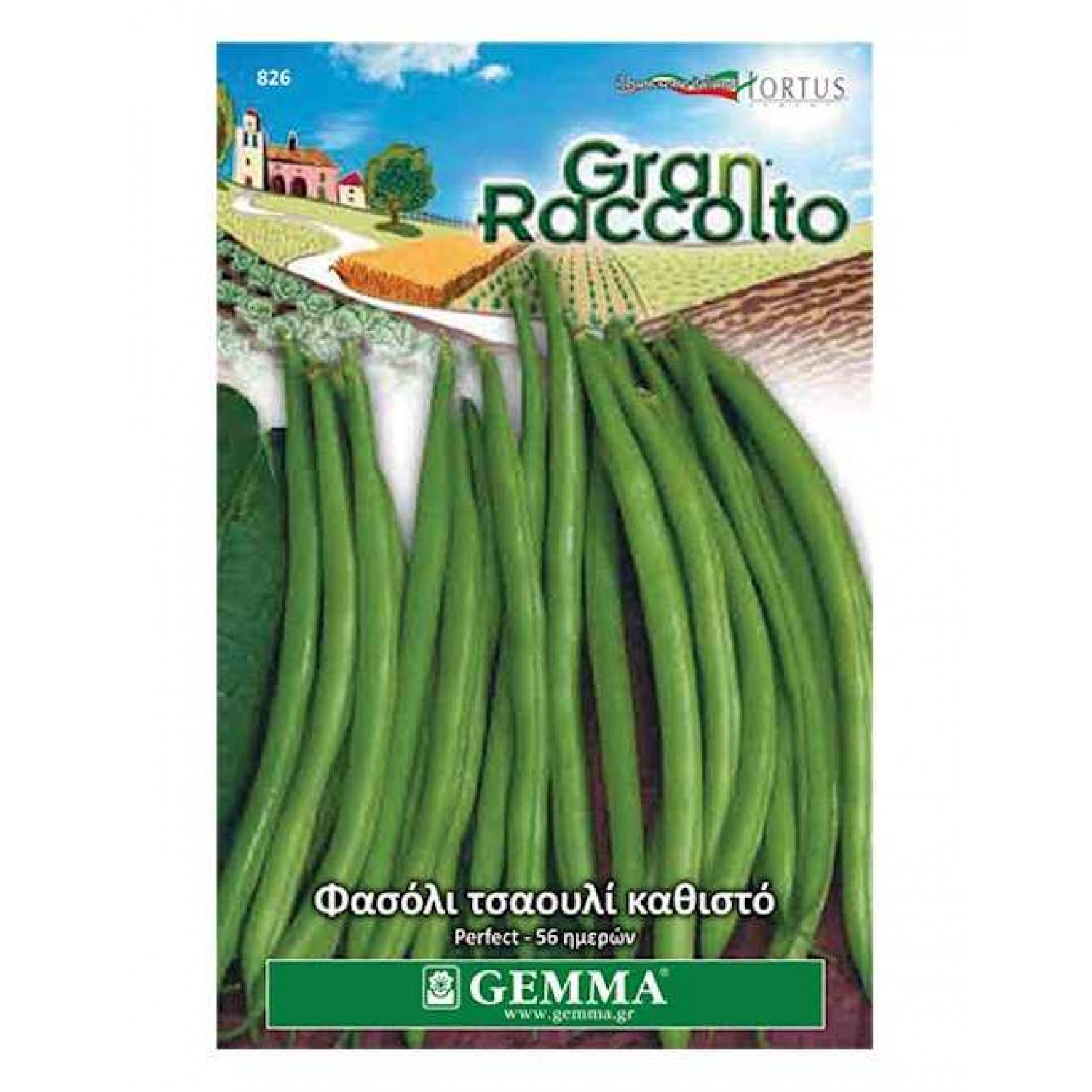 French Beans Perfection Seeds 40g Packet (Phaseolus vulgaris 'Perfection') [826] Gemma - Seed for Green Beans