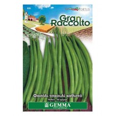 Φασόλι Τσαουλί Άνευρο Νάνο Perfection 5kg Σπόροι Σακί [826] Gemma (Phaseolus vulgaris 'Perfection') - Σπόρος Φασολιών