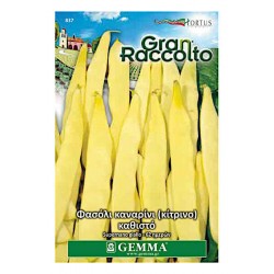 Supernano Yellow Dwarf French Bean Seeds 65g Seeds