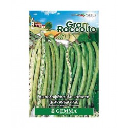 Cowpea Seeds Vigna unguiculata ‘Dall’ Occhio Veneto’ | Kipogeorgiki