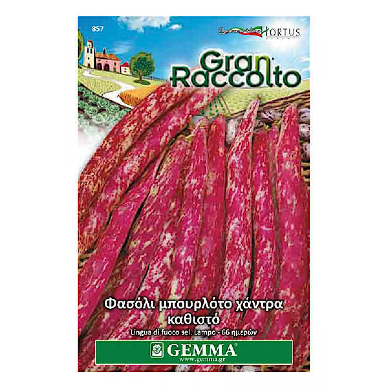 Dwarf Bean Firetongue Seeds 65g
