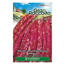 Dwarf Bean Firetongue Seeds 65g
