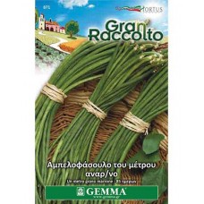 Asparagus Bean (Yardlong Bean Seeds) | Kipogeorgiki