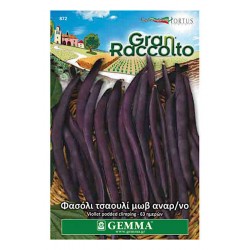 Climbing Bean Violet Podded Seeds 65g