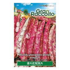 Climbing Bean 'Firetongue 2' Seeds 65g