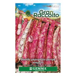 Climbing Bean 'Firetongue 2' Seeds 65g