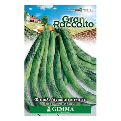 Bobi's d' Alenga Green Bean Seeds 40g Packet (Phaseolus vulgaris 'Bobi's d' Alenga') - Bush Beans Seed
